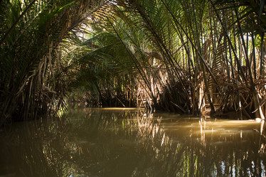 Similar image 21974260