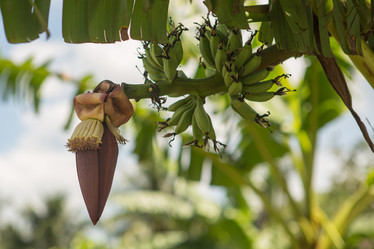 Similar image 21974271