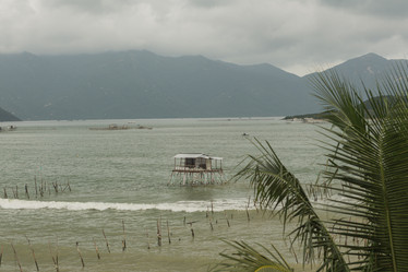 Similar image 21974285