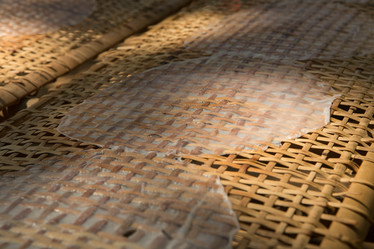 Similar image 21974286