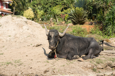 Similar image 21973815