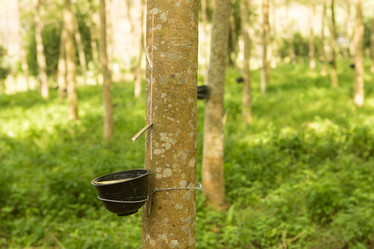 Similar image 21973816