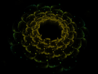 Similar image 21967689