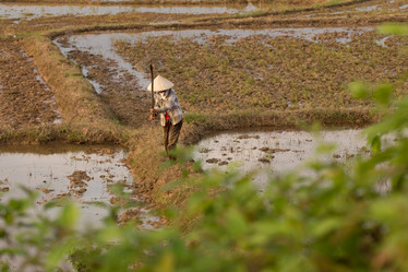 Similar image 21973819