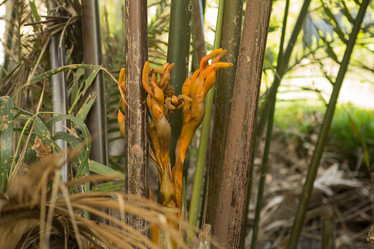 Similar image 21973822