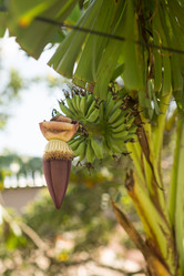 Similar image 21973824