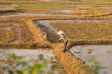 Similar image 21973825