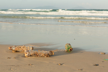 Similar image 21974026