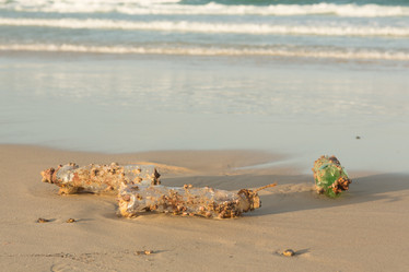 Similar image 21974027