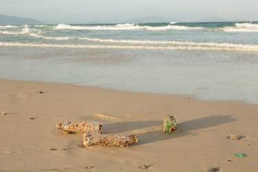 Similar image 21974028