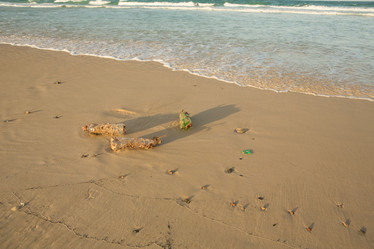 Similar image 21974029