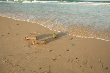 Similar image 21974030