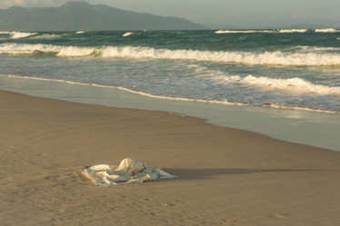 Similar image 21974035