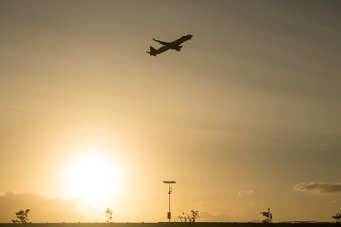 Similar image 21974037