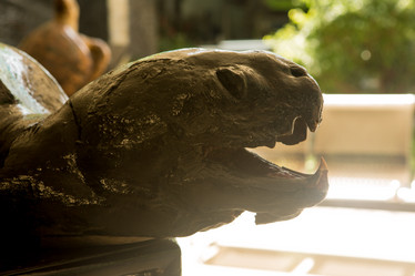 Similar image 21974291