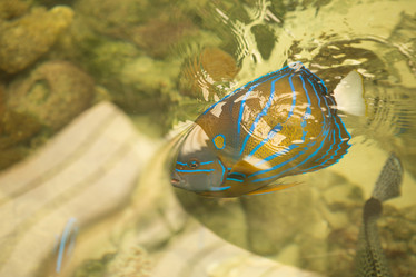 Similar image 21974296