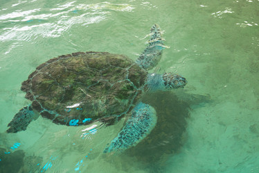 Similar image 21973830