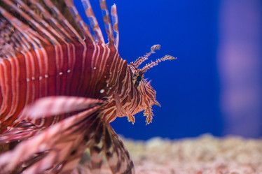 Similar image 21973835