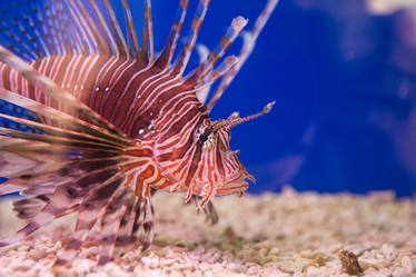 Similar image 21973836