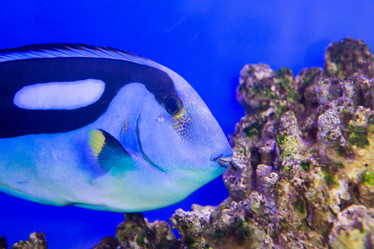 Similar image 21973845