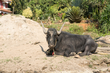 Similar image 21974048