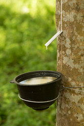 Similar image 21974049