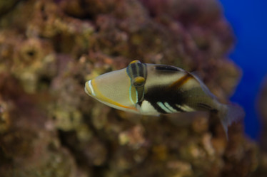 Similar image 21974299