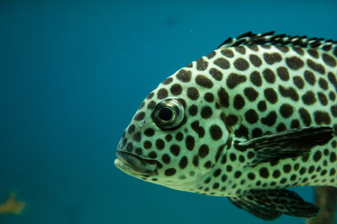 Similar image 21973852