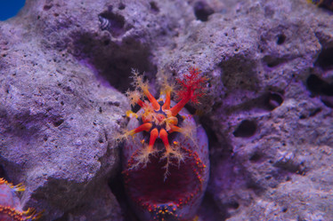 Similar image 21973859