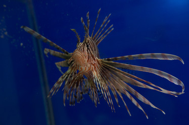 Similar image 21973864