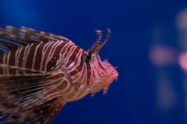 Similar image 21973868