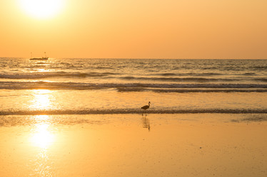 Similar image 21974054