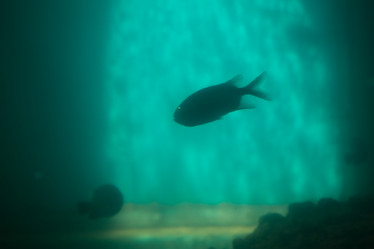 Similar image 21974058