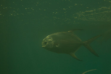 Similar image 21974060