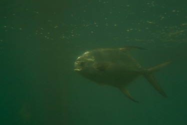 Similar image 21974061