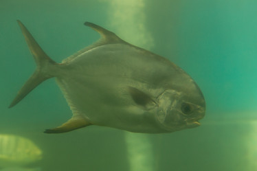 Similar image 21974062