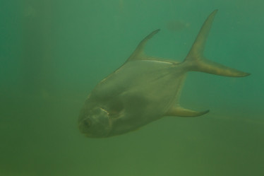 Similar image 21974064