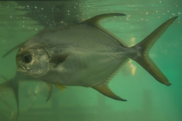 Similar image 21974065