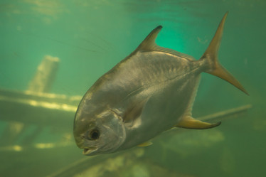 Similar image 21974068