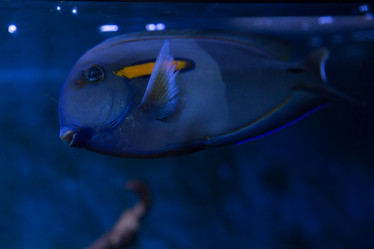 Similar image 21974069