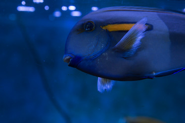 Similar image 21974070