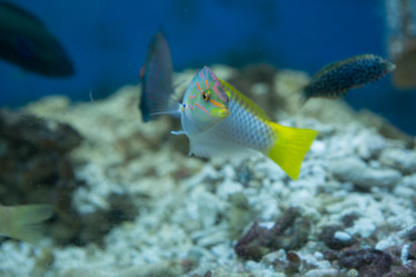 Similar image 21974072