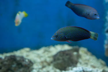 Similar image 21974073