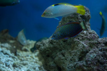 Similar image 21974075