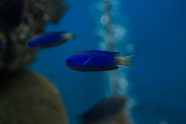 Similar image 21974076