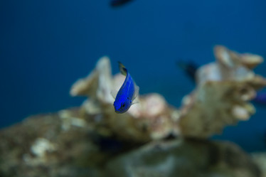 Similar image 21974077