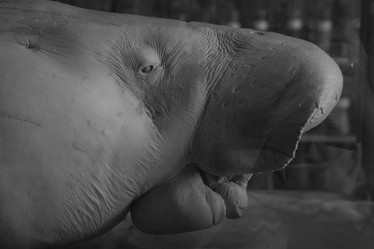 Similar image 21974079