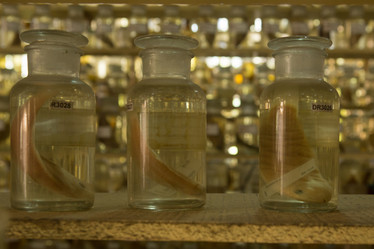 Similar image 21974081