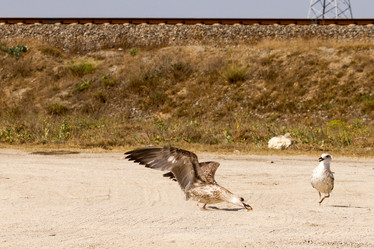 Similar image 21974092