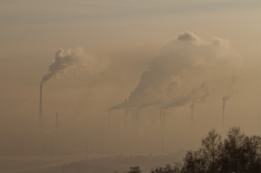 Similar image 21974322